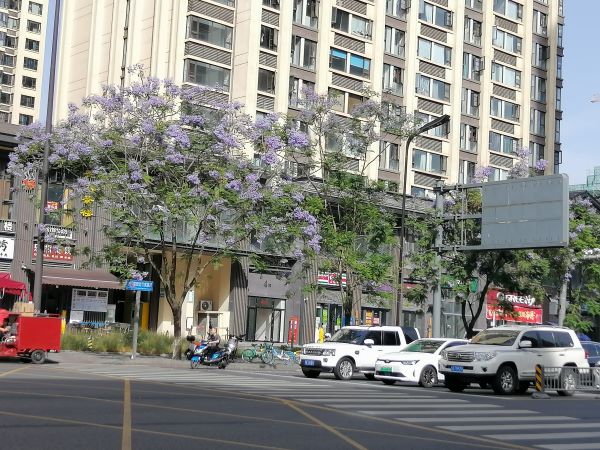 蓉城筑家，温度与匠心并存 | 成都赵师装修，让您的新家从“心”开始！