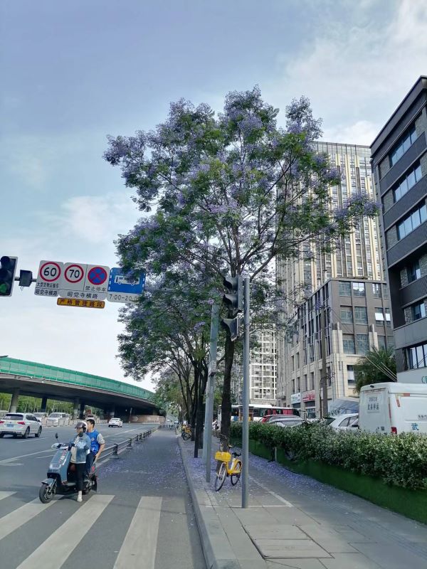 在成都装修房屋找一家老牌装修施工队是一个不错的选择