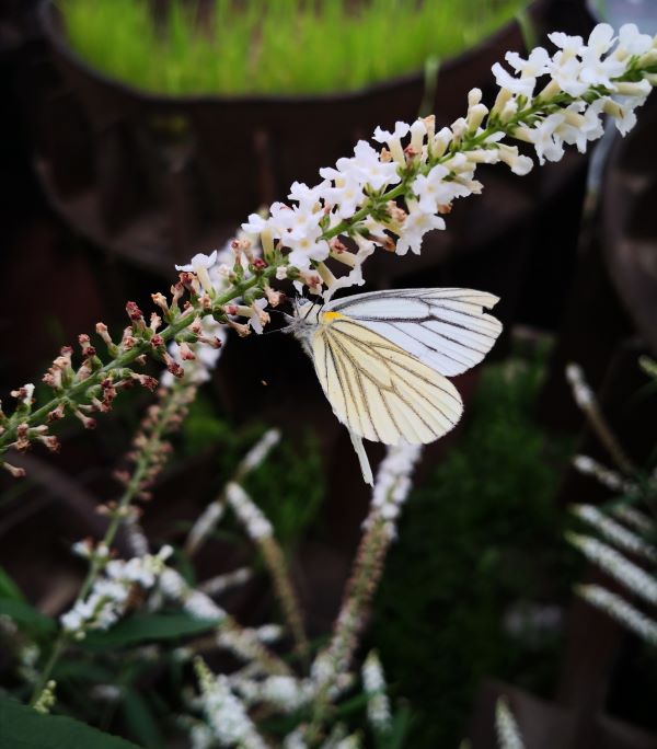 成都赵师家庭装修团队专注于经济实惠家庭装修的理想合作者